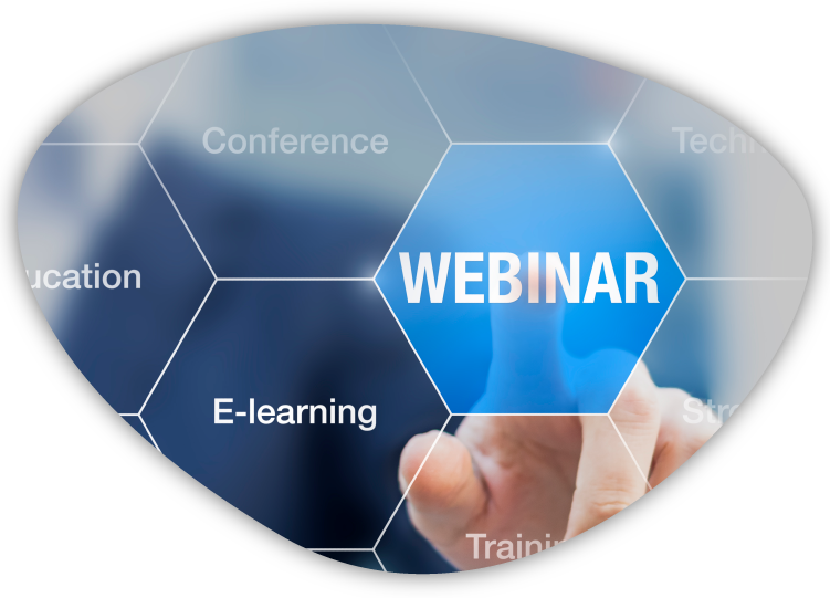 Executive Webinar image